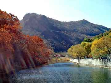 新澳天天开奖资料大全旅游团，建始seo排名